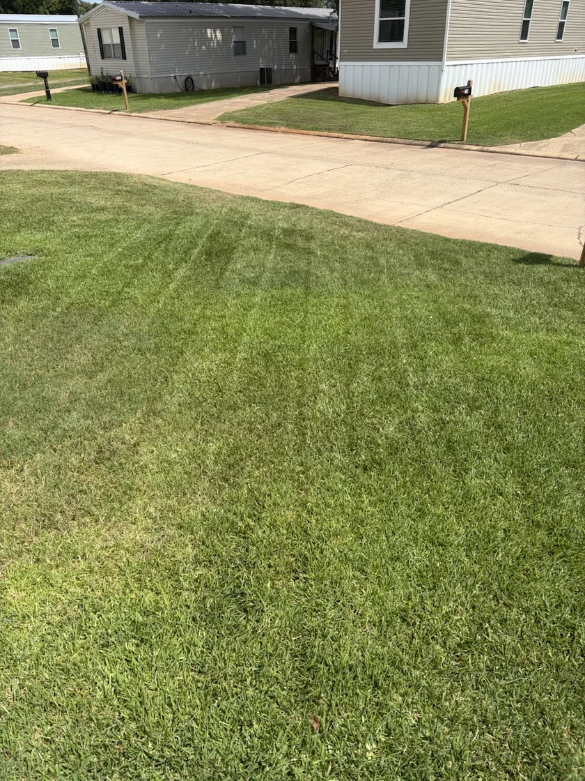 Freshly cut grass beside a driveway