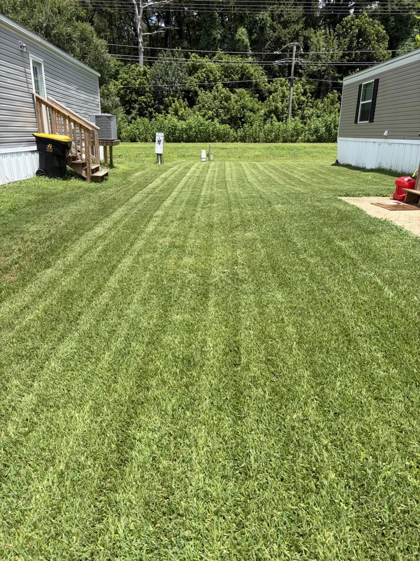 Parallel mowing lines along a side yard