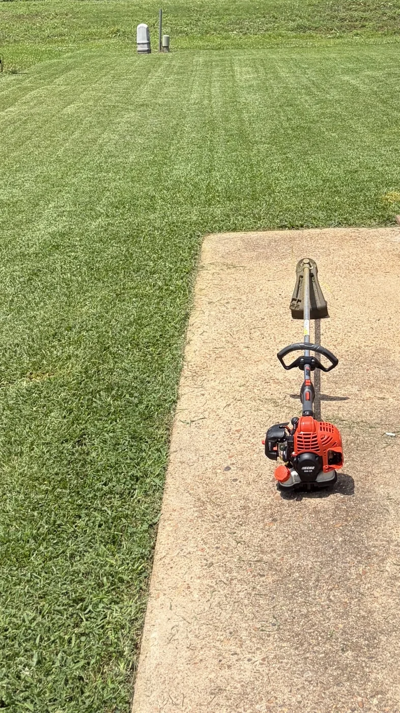 A grass trimmer beside the walkway of a freshly cut lawn